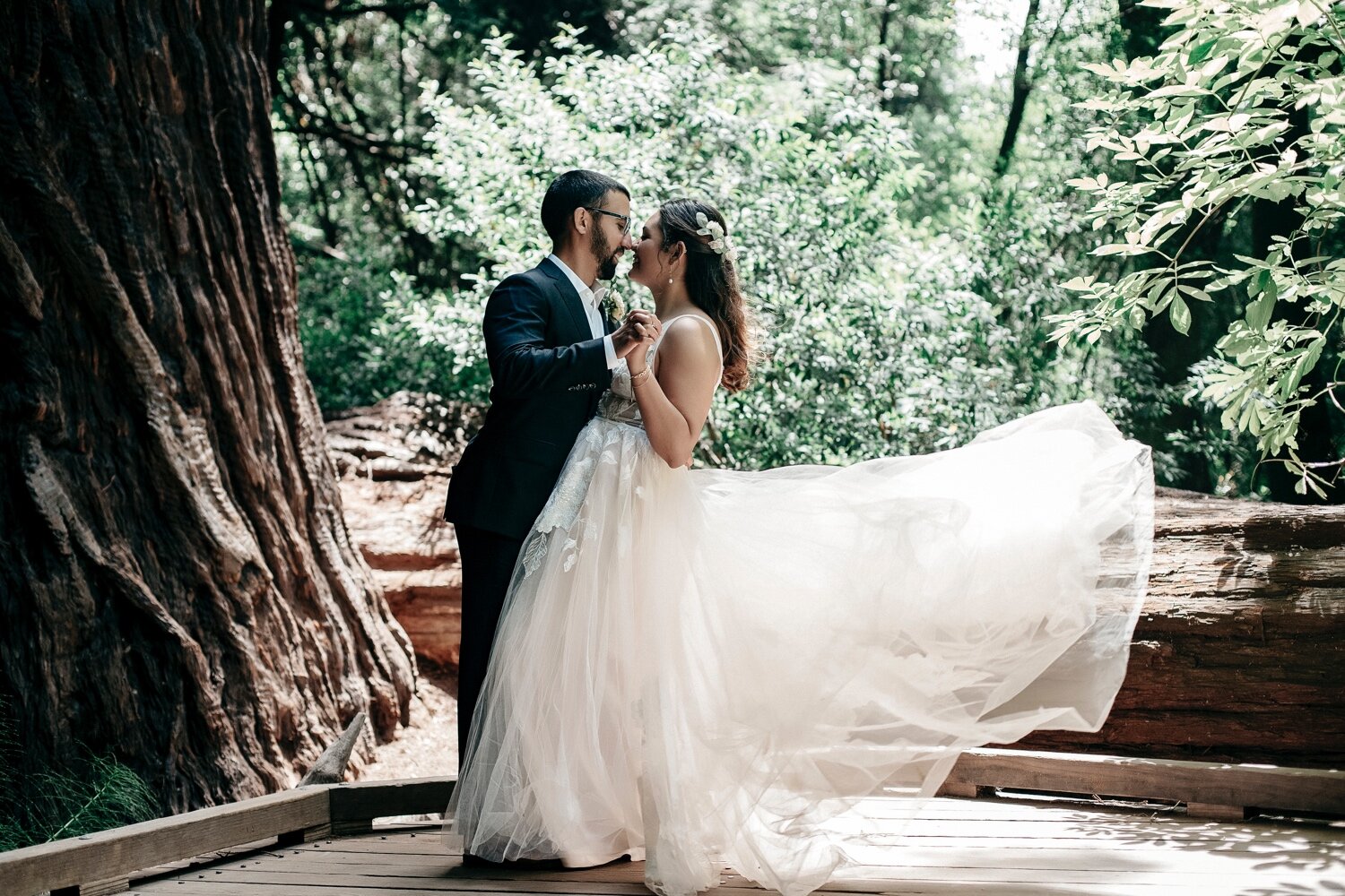 Muir Woods Wedding Photography