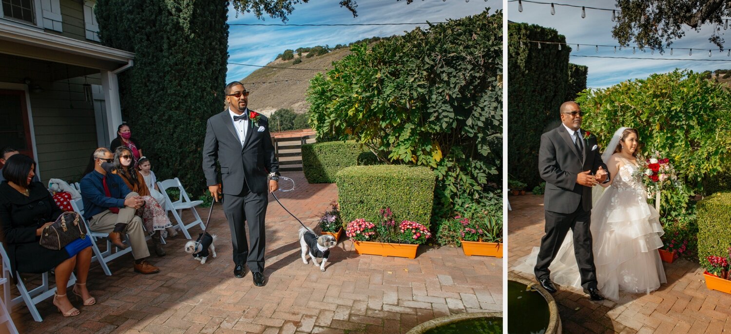 01_Rachel_Levine_Photography_Monterey_Wedding (11)_Rachel_Levine_Photography_Monterey_Wedding (8).jpg